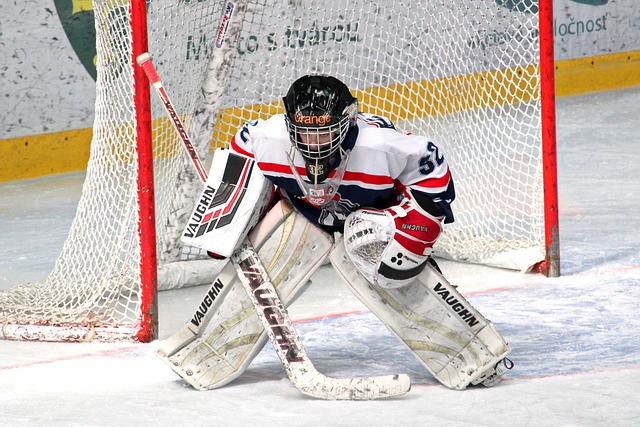 利作为骑士 利作为骑士